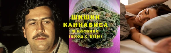 ALPHA PVP Козельск