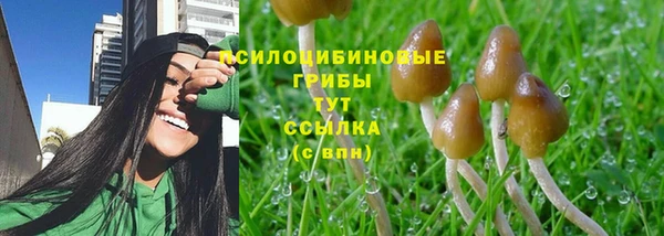 первитин Корсаков